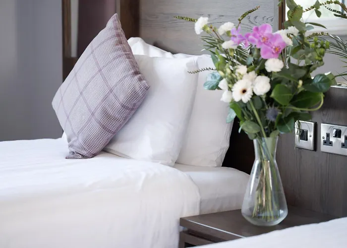 Jackson's & Leisure Centre 4* Баллибофи