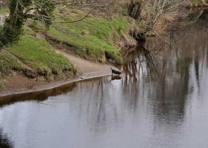 Отель Jackson's & Leisure Centre