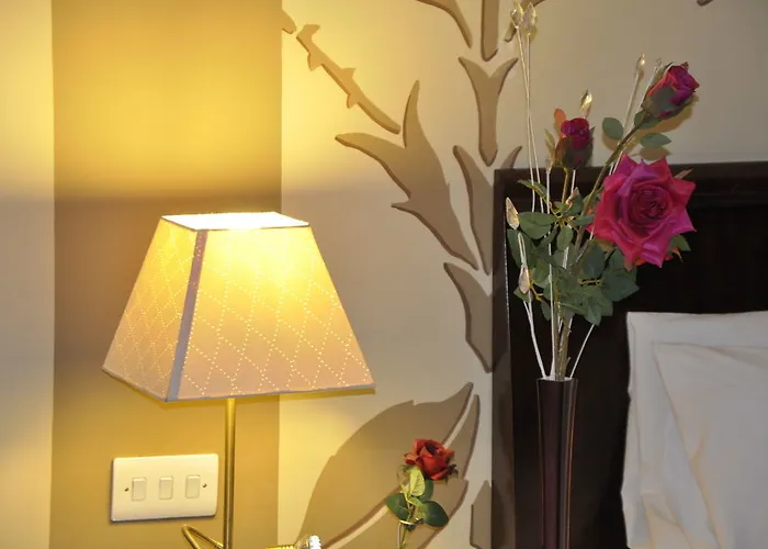 杰克逊莱斯尔酒店 4*